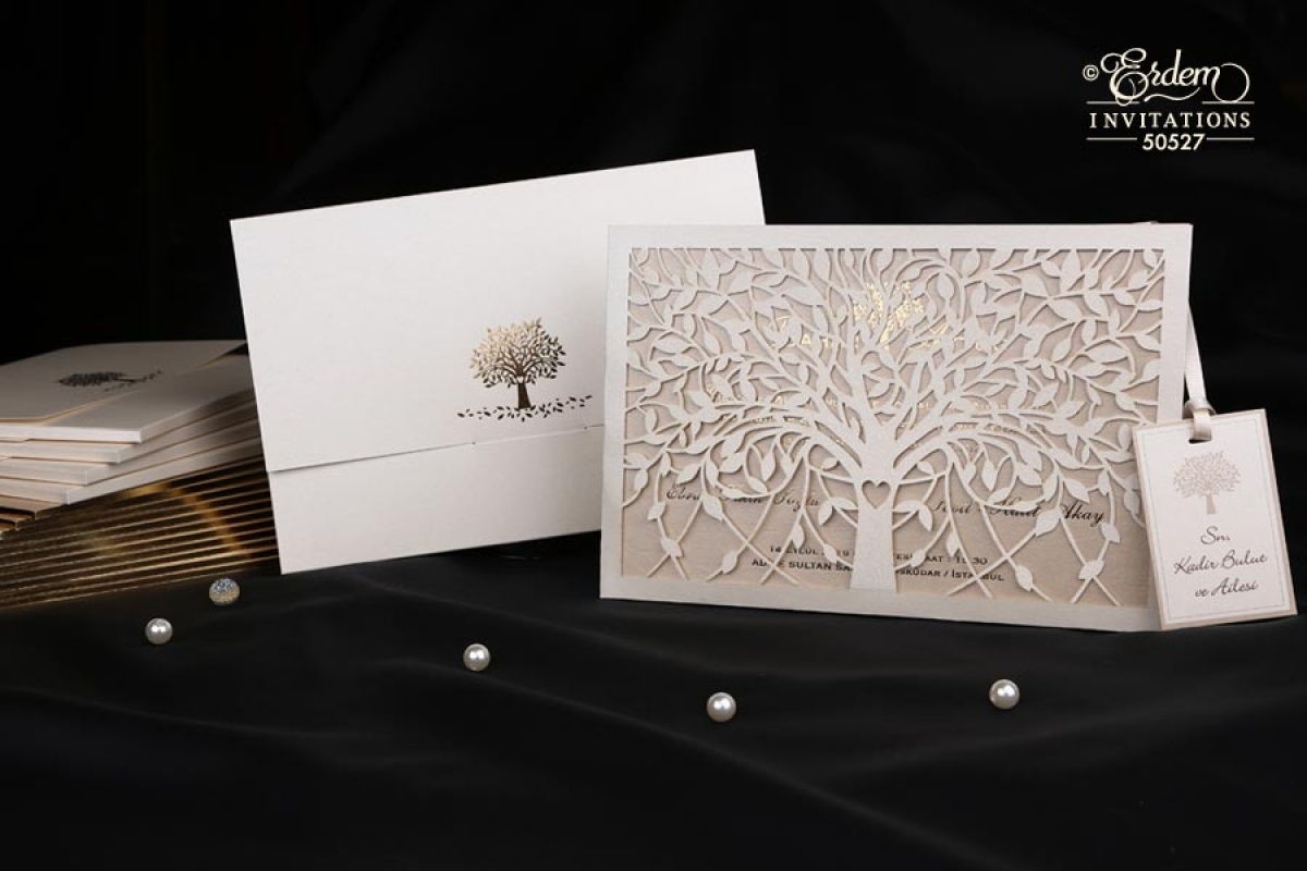 Erdem Davetiye 50527 Zarfsız
