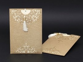 Alyans Davetiye 2013