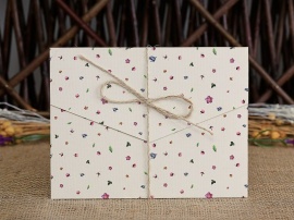 İklim Davetiye 10485