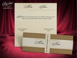 Popular Davetiye 2729