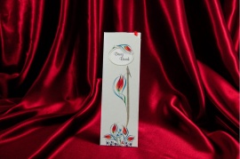 Rengarenk Davetiye 162