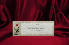 Rengarenk Davetiye 163