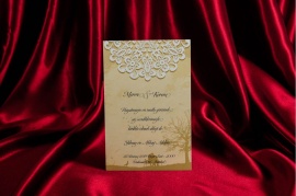 Rengarenk Davetiye 181