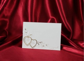 Rengarenk Davetiye 207