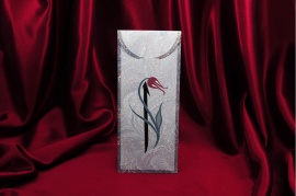 Rengarenk Davetiye 211