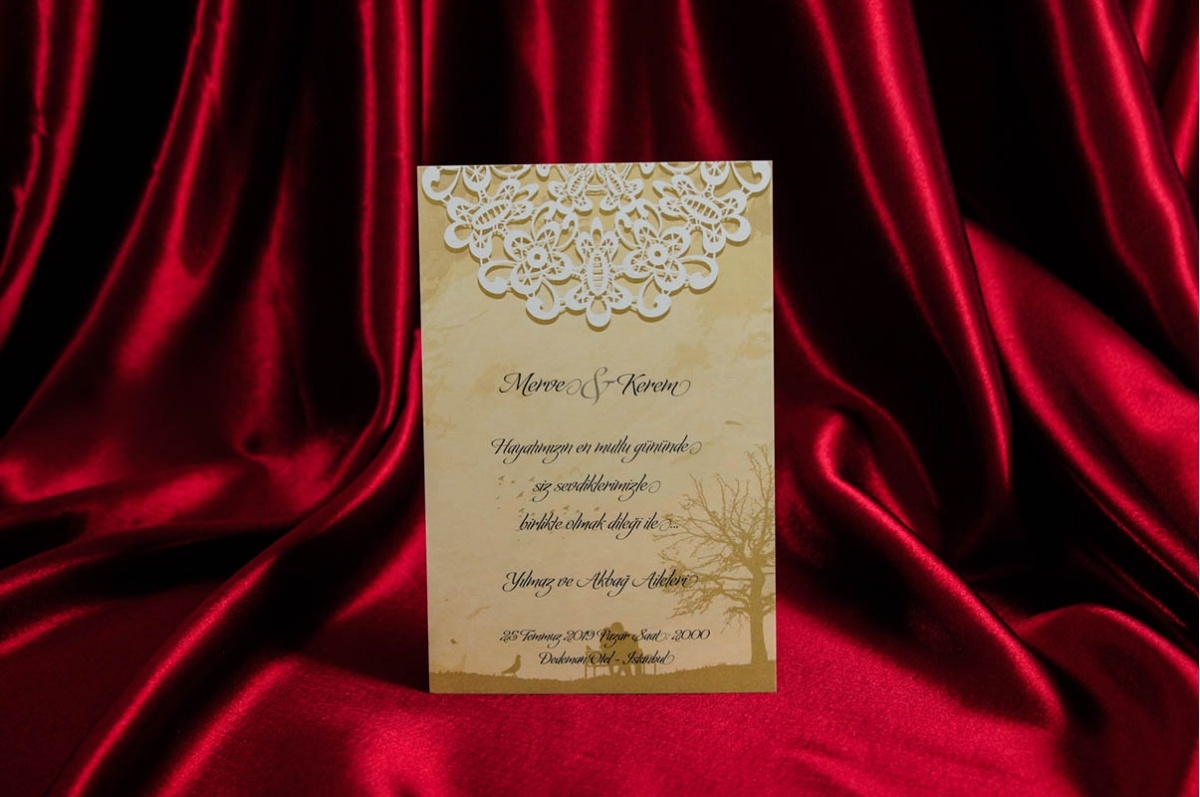 Rengarenk Davetiye 181