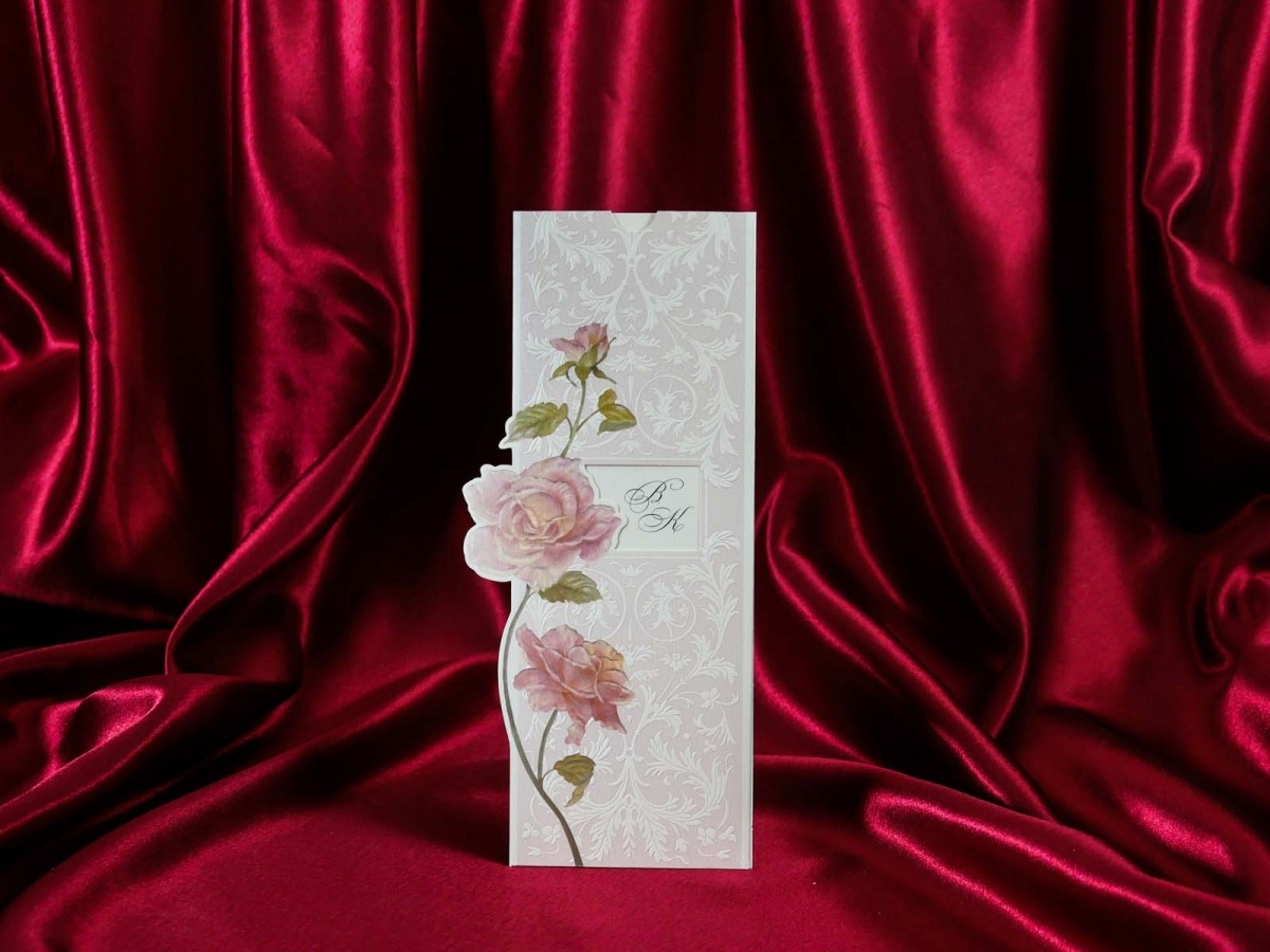 Rengarenk Davetiye 195