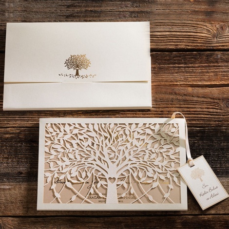 Erdem Davetiye 50584