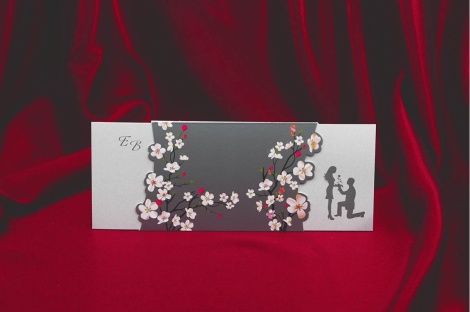 Rengarenk Davetiye 139