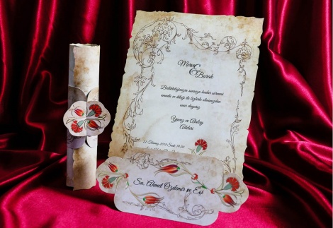 Rengarenk Davetiye 226