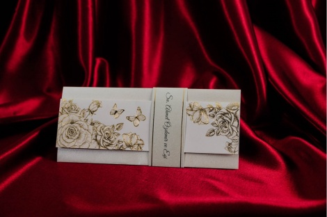 Rengarenk Davetiye 232